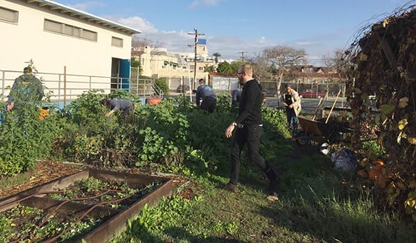 TH-Garden-before