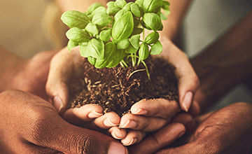 offer-guide-understanding-crm-for-nonprofits gardening and growth