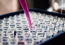 A pipette dispenses a pink liquid into a tray filled with rows of clear plastic test tubes, suggesting a laboratory setting and scientific experiment.