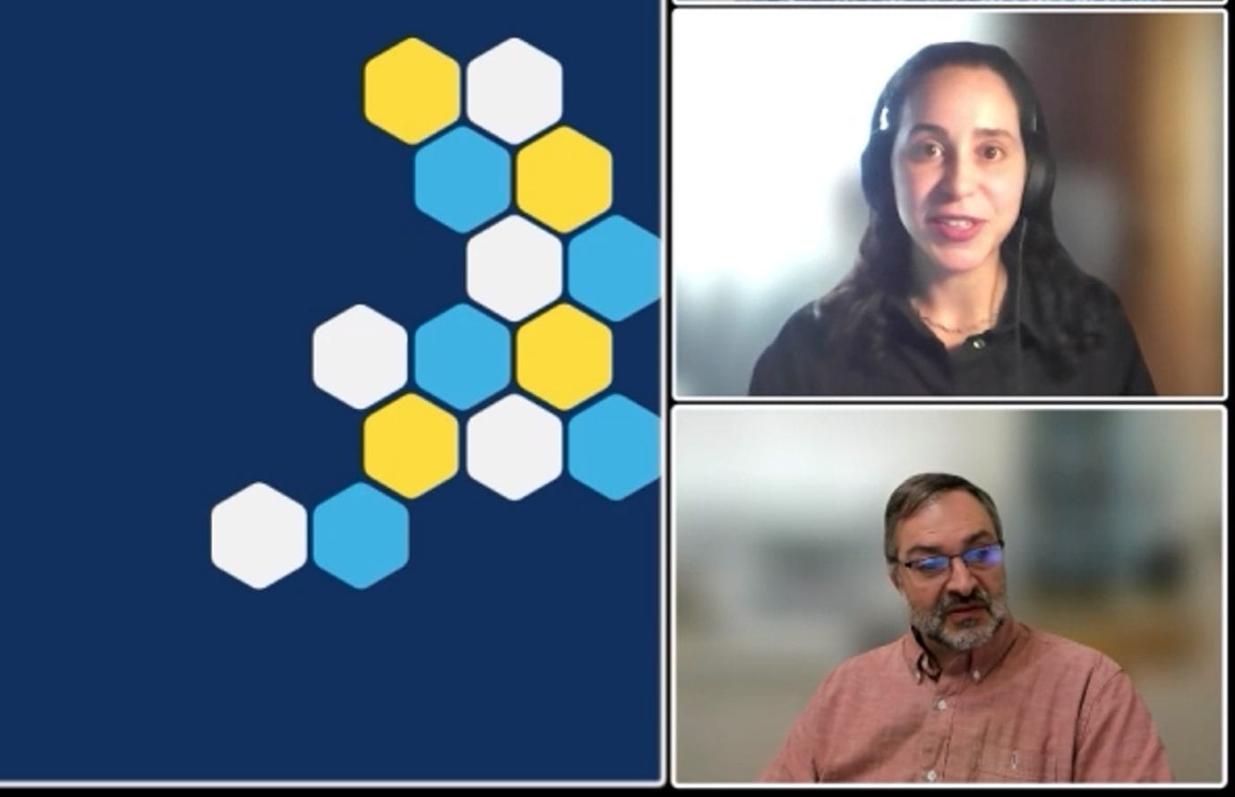 A virtual meeting screen displays a hexagon pattern on the left and two people in video call windows on the right—a woman wearing a headset at the top and a man with glasses and a beard at the bottom from the Stop Winging It webinar recording.
